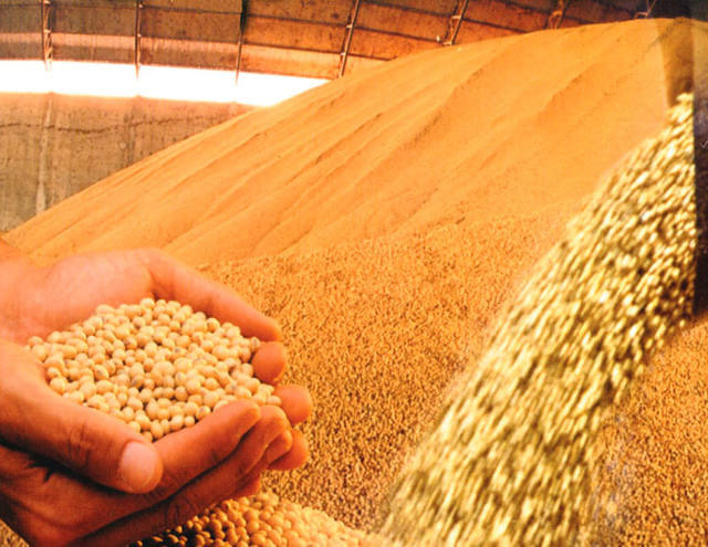 Rússia suspende importação de soja e milho dos EUA