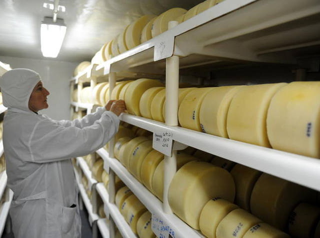 TEC de 28% para lácteos do Mercosul é prorrogada