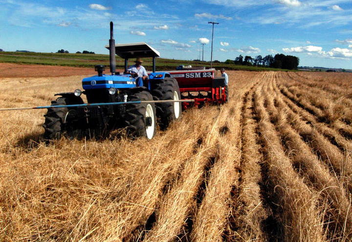 Mato Grosso do Sul tem plantio recorde em área de 2,3 milhões de hectares