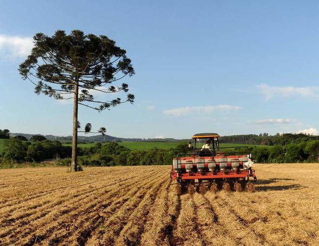Plantio de soja atinge 2% da área prevista para a safra 2015/2016