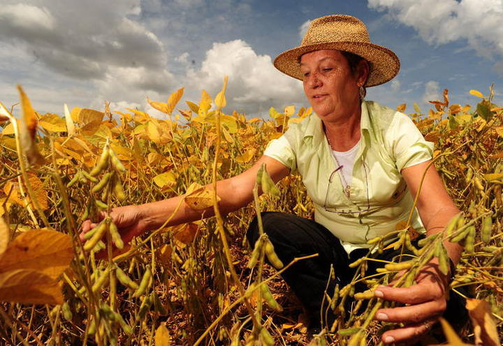 produtora com soja, mulheres no campo, dia da mulher