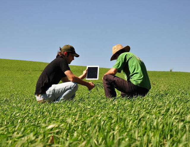 Empresa de agronegócios convoca trainees