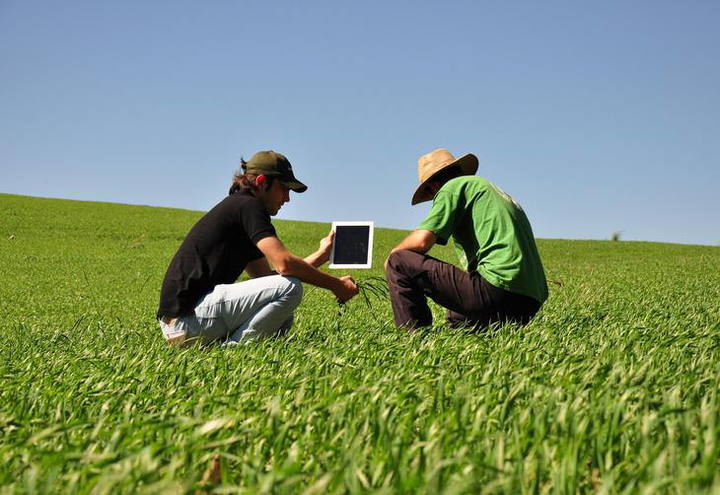 Empresa de agronegócios convoca trainees