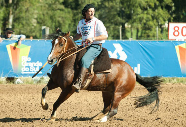 Competição é a maior ferramenta de seleção do cavalo crioulo