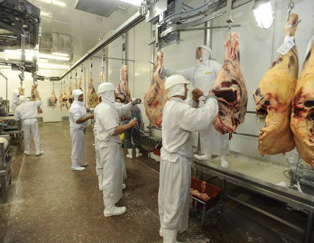 Fiscais agropecuários encerram greve em Minas Gerais