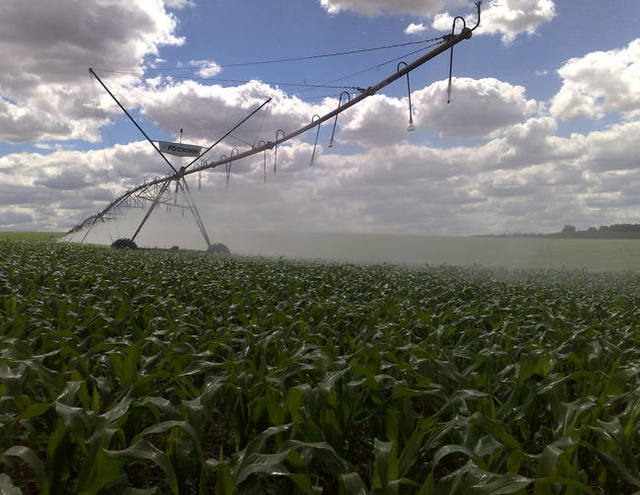 Ministério da Agricultura e Apex-Brasil assinam nesta terça acordo de cooperação
