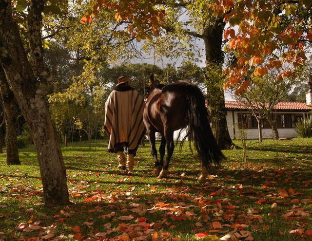 Fonte: turismo rural