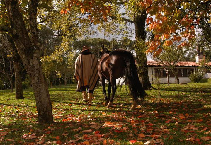 Fonte: turismo rural