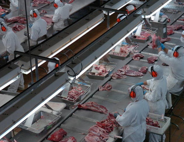 Minerva Foods paralisa frigorífico de Campina Verde (MG) e demite 400 funcionários