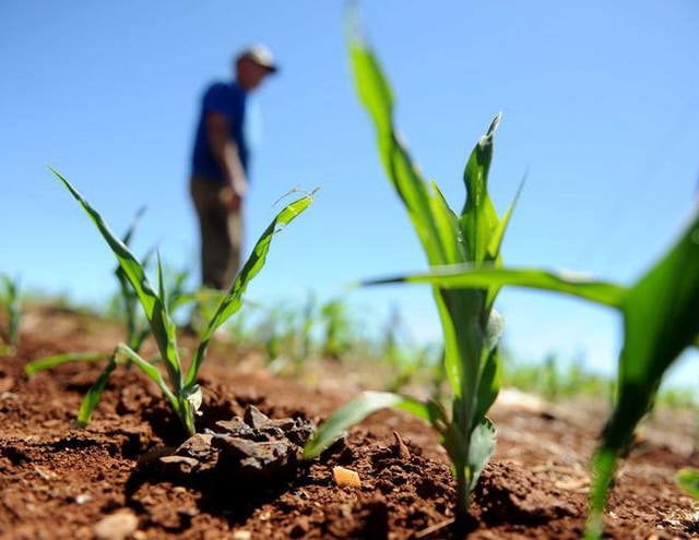 Fonte: Reprodução/Canal Rural