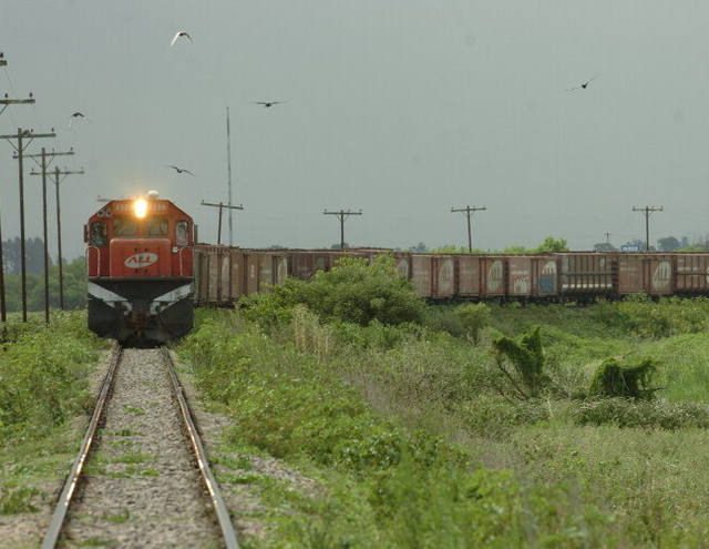 Ferroeste investe R$ 4 milhões no escoamento