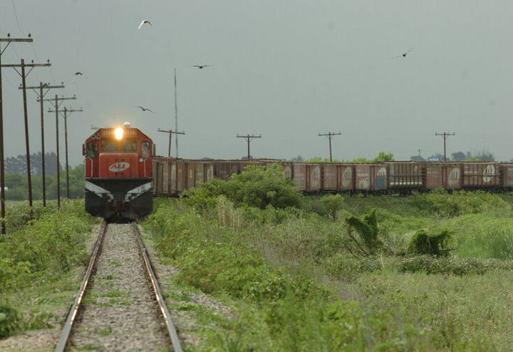 Ferroeste investe R$ 4 milhões no escoamento