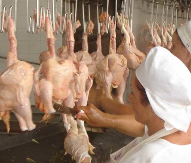ABPA: vitória na OMC melhora exportações de frango