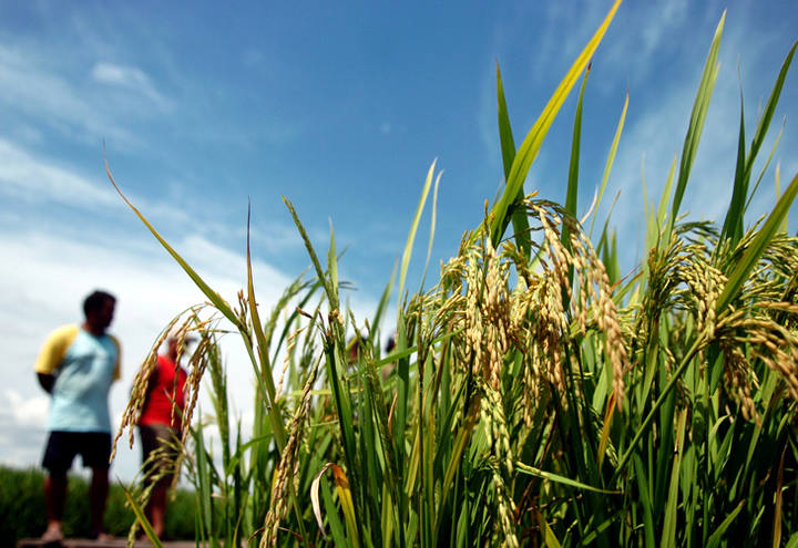 Produtores ganham mais prazo para renegociar dívidas