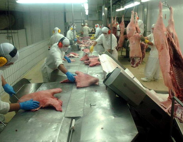 Preço de carne suína no atacado é o menor em relação à bovina desde 2004