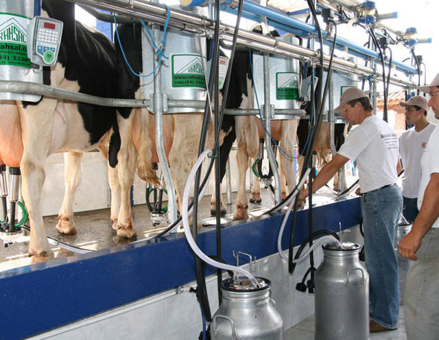 Aquisição de leite cresce 4,6% no terceiro trimestre