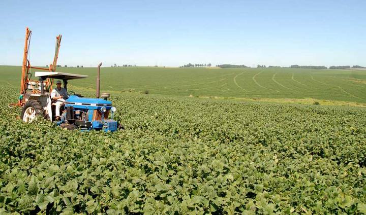 Produção agrícola chega a R$ 232,5 bilhões em 2013