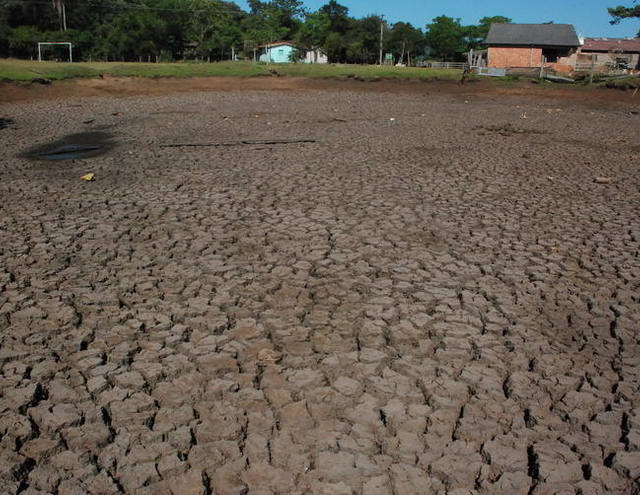 Seca atinge produções no Nordeste