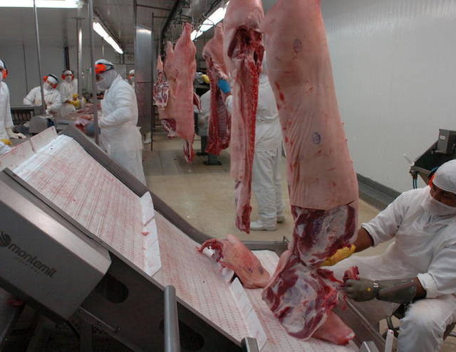 Cotação do suíno vivo deve terminar 2014 em alta