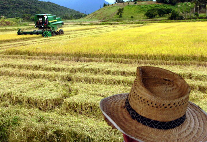 Tudo o que você precisa saber sobre seguro rural