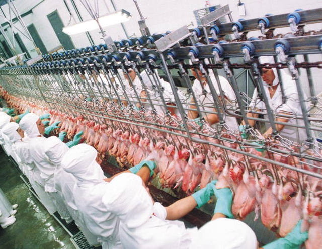Preço do frango sobe com demanda aquecida