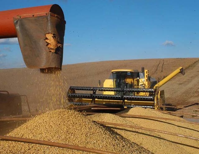 Agroconsult prevê safra 2014/2015 de soja em 95,8 milhões de toneladas