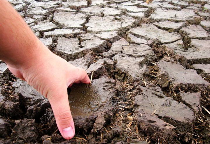 COP 21 chega a acordo para limitar aquecimento global a 1,5 grau