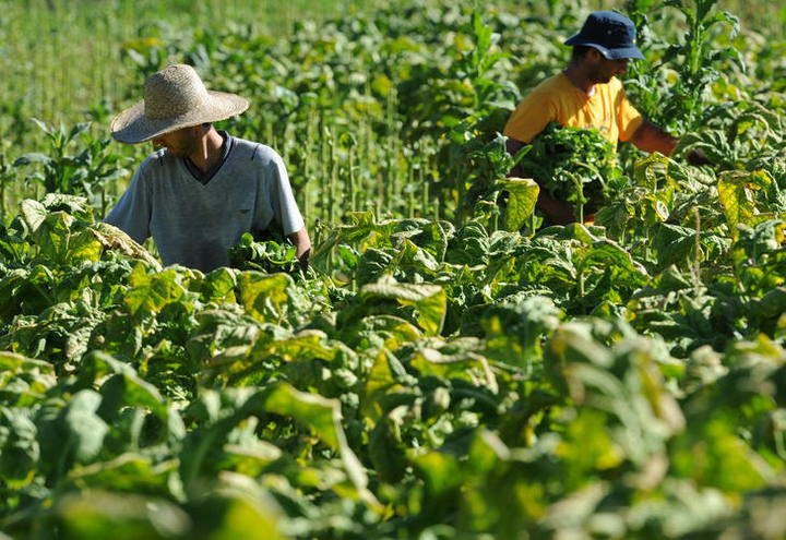 Brasil envia delegação para encontro mundial do tabaco