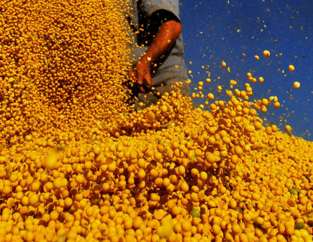 Exportação de grão, farelo e óleo do Brasil surpreende e terá receita recorde em 2014