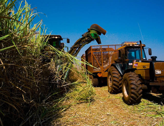 Processamento de cana recua 12% no Centro-Sul