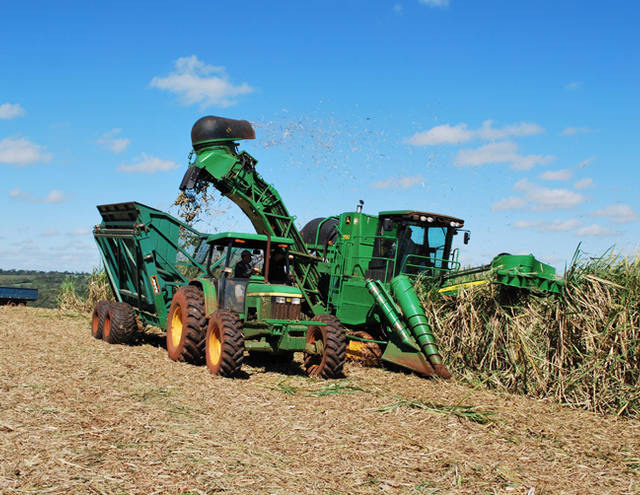 Pesquisa mostra redução de 11 mil empregos no setor de açúcar em 2015