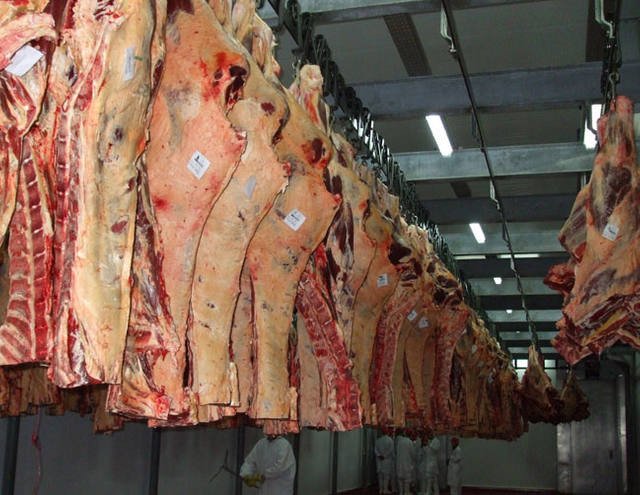 USDA reduz estimativa para produção americana de carne bovina em 2015