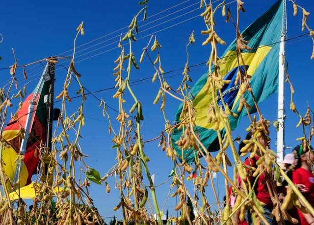Canal Rural transmite ao vivo audiência pública sobre seguro agrícola