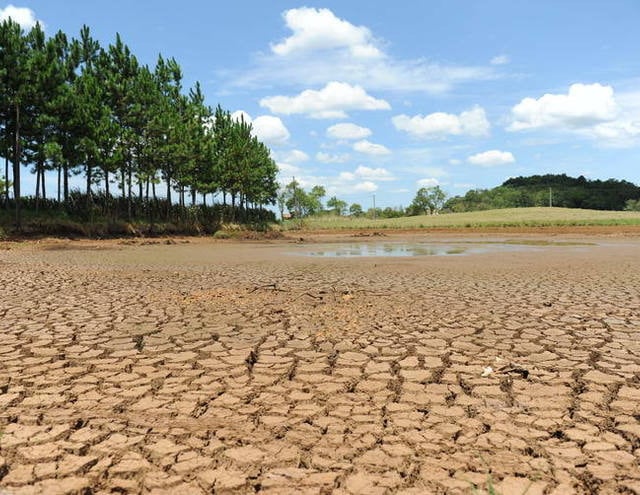 Combate à desertificação é aprovado pelo Senado
