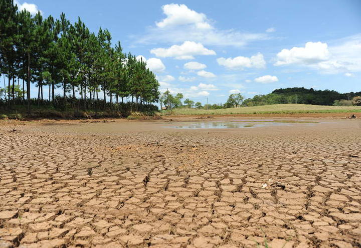 Combate à desertificação é aprovado pelo Senado