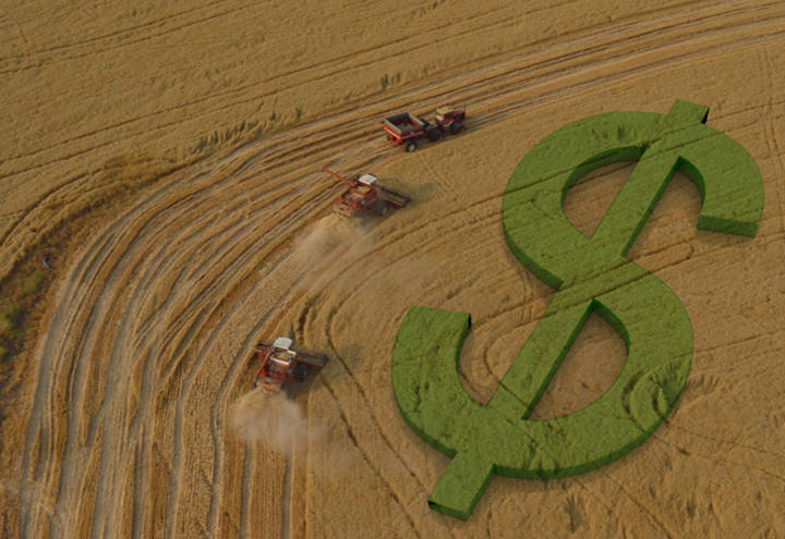 Crédito rural em queda reforça busca por soluções de longo prazo