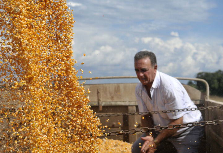 Milho valoriza mais de 8 centavos em apenas um dia nos EUA