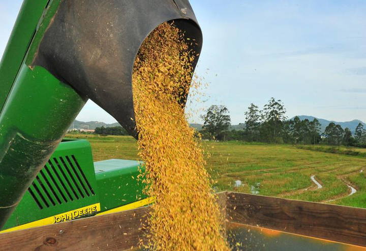 Chuvas prejudicam plantio do arroz no RS e enfraquecem negociações