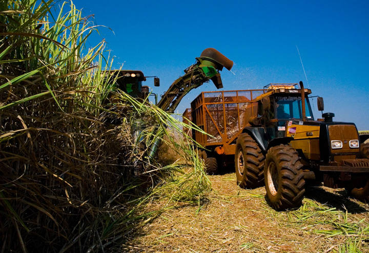 Moagem de cana deve cair 5% na safra 2014/2015