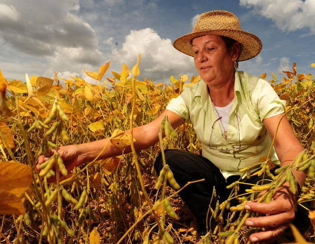 Mulheres conquistam espaço no campo e ocupam posições de liderança no agronegócio