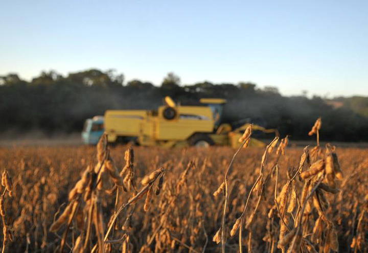 Produtividade no Brasil cresce 4% ao ano desde 2000