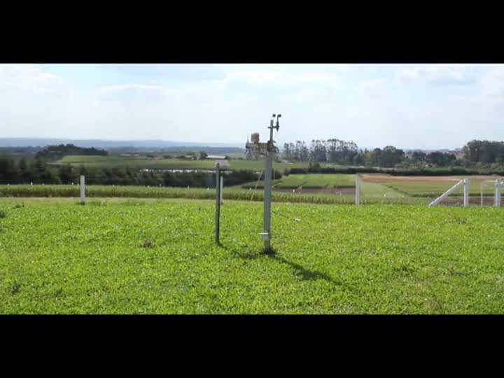 Tecnologia ajuda produtor a diminuir riscos na lavoura