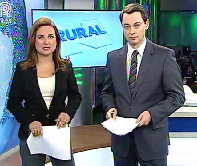 Convivendo com questões indígenas, região Pontão (RS) avança no plantio de soja