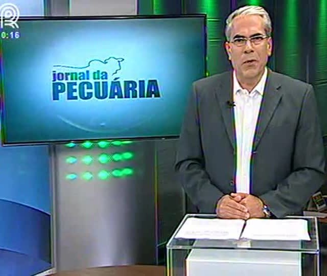 Saiba como estão as exportações de carne bovina in natura
