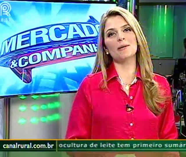 Produtores de Tapes (RS) investem na rotação arroz-soja