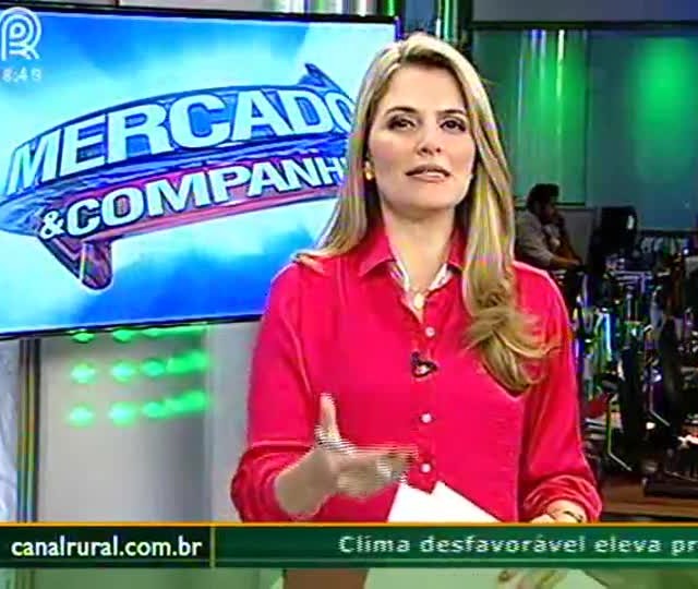 Soja: Momento é para venda