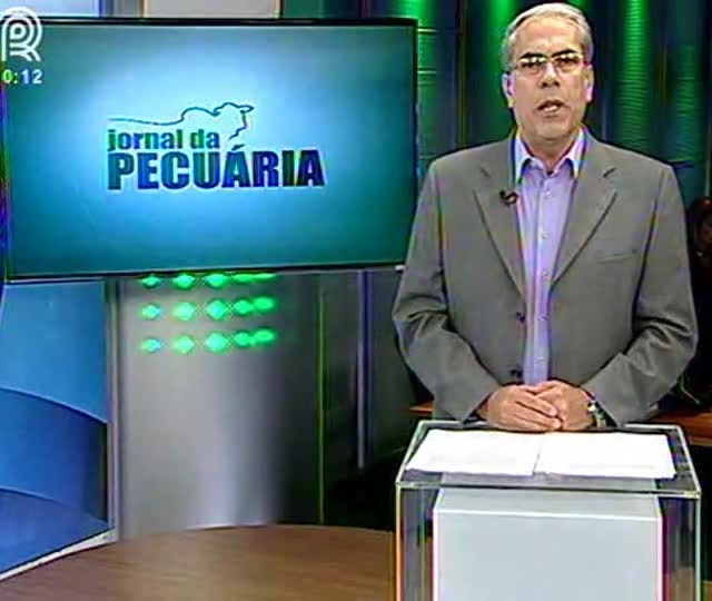 Cotações do Bezerro na Bahia sobem mais do que o esperado