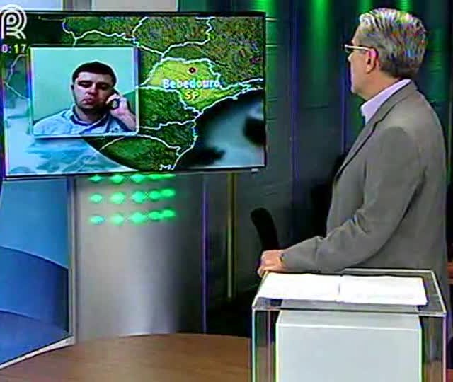 Confira a análise do mercado do boi gordo