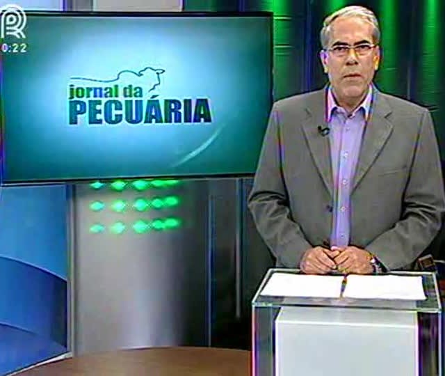 Saiba as novidades do 9º Leilão Campo Grande Embryo