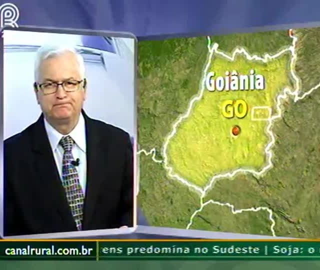 Pecuarista deve ter cuidado com custos, para não sair no prejuízo